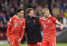 赛事为桥 拳动世界：在国际赛事中成长的贵州拳击